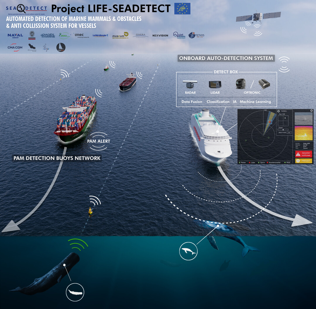 seadetect diades marine radar